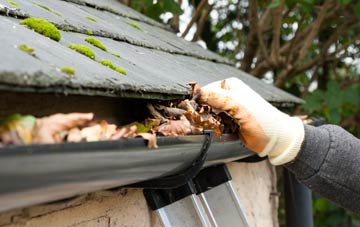 gutter cleaning Townhill
