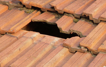 roof repair Townhill